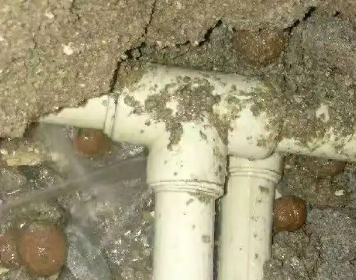 姜堰测漏水多少钱