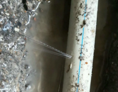 姜堰测漏水哪家好