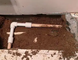 姜堰测漏水哪家好