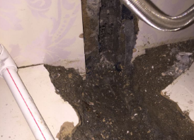 姜堰卫生间测漏水哪家好