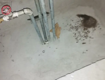 姜堰卫生间测漏水价格明细