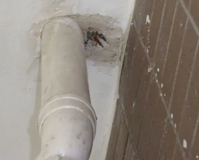 姜堰漏水检测哪家好